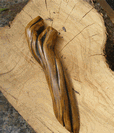 Wood Mezuza 40