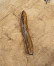 Wood Mezuza 42