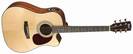 CORT AD850CE STANDARD SERIES ELECTRO ACOUSTIC GUITAR
