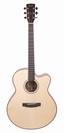 גיטרה אקוסטית +ארגז CORT CJ AS4