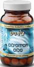 אסידופילוס פלוס