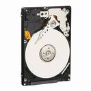 כונן קשיח Western Digital WD3200BEVT
