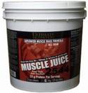 ultimate nutrition muscle juice אבקה לעליית מסה 6 קילו