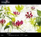 Gloriosa