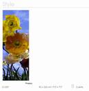 Poppy