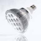 נורת לד  הברגה PAR 38 12X1W E27 220V