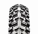 Minion DHR UST maxxis