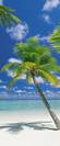 Ari Atoll