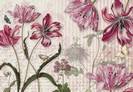 Merian