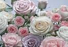 Floraison