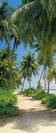 Way to the beach