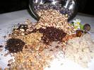 Mix of Seeds (5 grams for 5 sqr.m.)