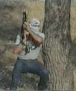 Battle of Jenin