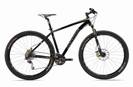 Nail Trail 29er  2010