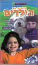 טיולים עם הילדים
