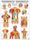 מפת פוסטר טריגר (נקודות טריגר) ראש וחלק עליון 50X70 ס"מ מק"ט 108