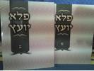 פלא יועץ - כיס
