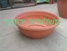 קערת פלסטיק לשתילה