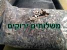 שבבי עץ לחיפוי  בצבעים שונים