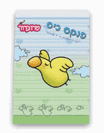 פנקסי "לצייר בקלות" - ברדי