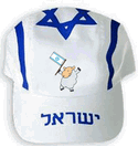 כובע מצחייה בעיצוב של דגל ישראל