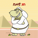 כרטיסי ברכה לפסח - היפו מצרי