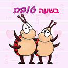 כרטיס ברכה קטן: בשעה טובה - זוג חיפושיות