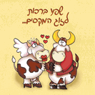 כרטיס ברכה קטן: שפע ברכות לזוג המקסים
