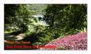 מגנט גדול: when you travel you find your true destiny