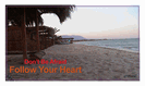 מגנט גדול: dont be afraid to follow your heart