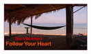 מגנט גדול: dont be afraid to follow your heart