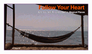 מגנט גדול: follow your heart and you will find yourself in magical places