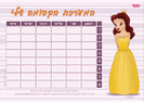 מערכת שעות - 28