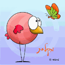 שלט דביק למקלחת - ציפור ופרפר