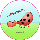 כפתורי סיכה - חיפוש מחפש משמעות