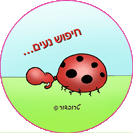 כפתורי סיכה - חיפוש מחפש משמעות
