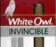 Invincible