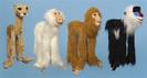 מריונטת קופים ופומה monkey puppet