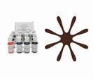 צבע מאכל CHOCOLATE BROWN אמריקן קלור