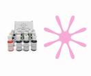 צבע מאכל DEEP PINK אמריקן קלור