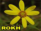 Rokh-ויאגרה טבעי-Виагра