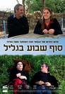 Weekend In The Galilee