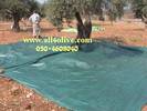 Olive Net 70g