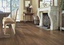 BHK Moderna vision