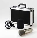 מיקרופן קונדנסר כפול B-2 PRO BEHRINGER -