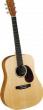 גיטרה אקוסטית MARTIN DX1KAE