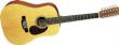 גיטרה אקוסטית 12 מיתרים MARTIN D12X1AE