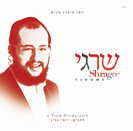 שרגי גשטטנר
