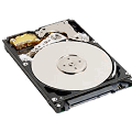 דיסק קשיח WD 160GB IDE WD1600BEVE