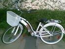 אופני שיוט CRUISER